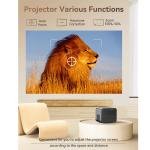 SUREWHEEL SW30 Projector | Europe